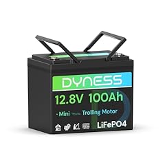 Dyness batteria lifepo4 usato  Spedito ovunque in Italia 