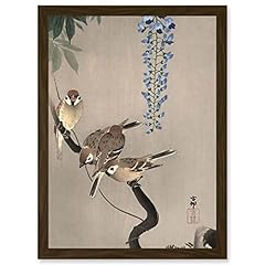 Nature moineau oiseau d'occasion  Livré partout en Belgiqu