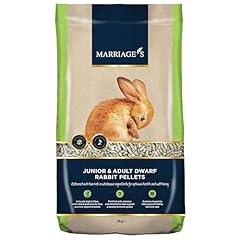 Marriage indoor rabbit for sale  Delivered anywhere in UK