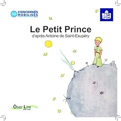 Petit prince usato  Spedito ovunque in Italia 