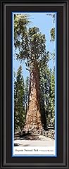 Sequoia national park for sale  Delivered anywhere in USA 