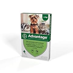 Advantage spot flea for sale  Delivered anywhere in UK