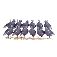 Heerweiyi dove pigeons for sale  Delivered anywhere in USA 