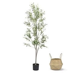 Liyarya faux olive for sale  Delivered anywhere in USA 