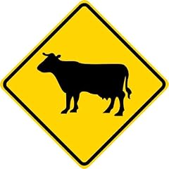 Tnnd cow cattle for sale  Delivered anywhere in USA 