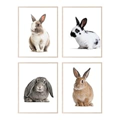 Insire bunny nursery for sale  Delivered anywhere in USA 
