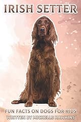 Irish setter fun for sale  Delivered anywhere in UK