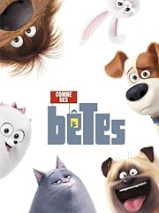 Bêtes d'occasion  Livré partout en France