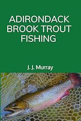 Adirondack brook trout for sale  Delivered anywhere in USA 