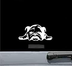 Artworks english bulldog for sale  Delivered anywhere in USA 