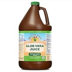 Lily desert aloe for sale  Delivered anywhere in USA 
