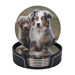 Pcs australian shepherd for sale  Delivered anywhere in USA 