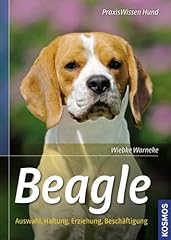 Beagle auswahl haltung d'occasion  Livré partout en Belgiqu