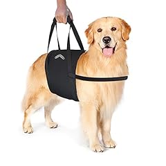 Walkabelly support sling for sale  Delivered anywhere in USA 