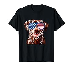 Chocolate lab dog for sale  Delivered anywhere in USA 