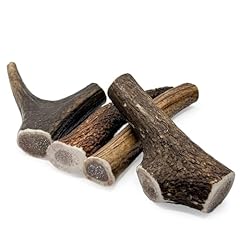 Wild antler medium for sale  Delivered anywhere in UK