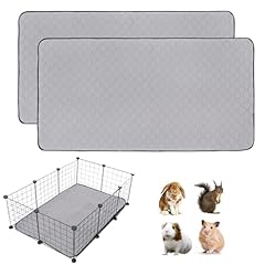 Pack guinea pig for sale  Delivered anywhere in USA 