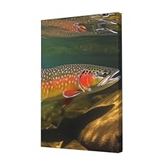 Brook trout fly for sale  Delivered anywhere in UK
