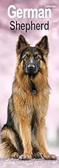 German shepherd slim for sale  Delivered anywhere in UK