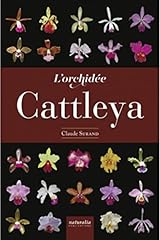 Orchidée cattleya for sale  Delivered anywhere in UK