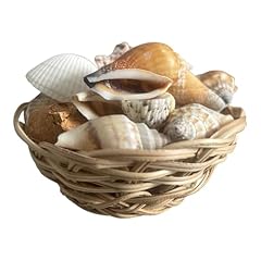Henko seashell basket for sale  Delivered anywhere in USA 