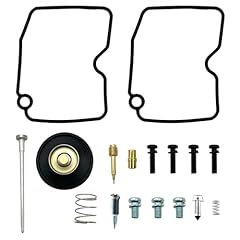 Carburetor repair kits for sale  Delivered anywhere in USA 