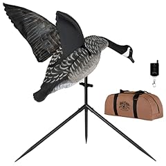 Lucky duck super for sale  Delivered anywhere in USA 