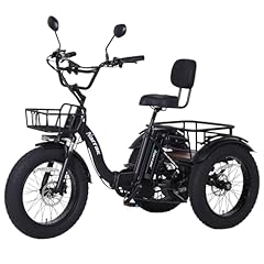 Narrak electric tricycle for sale  Delivered anywhere in USA 