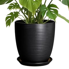 Epfamily ceramic plant for sale  Delivered anywhere in USA 