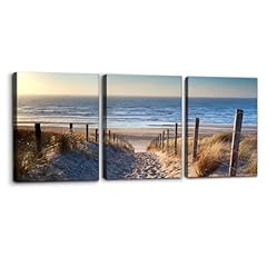 Pacimo pieces canvas for sale  Delivered anywhere in USA 