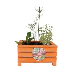 Unus kiste holz gebraucht kaufen  Wird an jeden Ort in Deutschland