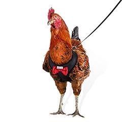 Yesito chicken harness for sale  Delivered anywhere in USA 