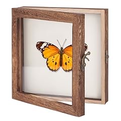 Ahandmaker insect display for sale  Delivered anywhere in UK