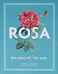 Rosa story rose for sale  Delivered anywhere in UK
