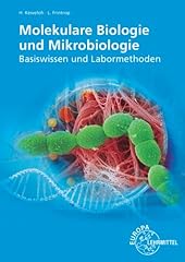 Molekulare biologie mikrobiolo gebraucht kaufen  Wird an jeden Ort in Deutschland
