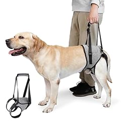 Harnais levage chien d'occasion  Livré partout en France