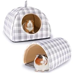 Hedgeink guinea pig for sale  Delivered anywhere in UK