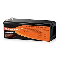 Werchtay batteria lifepo4 usato  Spedito ovunque in Italia 