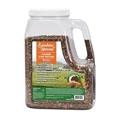 Scentsational flowering stage for sale  Delivered anywhere in USA 