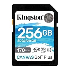 Kingston sdg3 256gb for sale  Delivered anywhere in UK