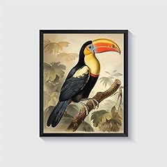 Toucan poster art for sale  Delivered anywhere in USA 