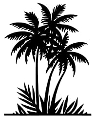 Benziso palm tree for sale  Delivered anywhere in USA 
