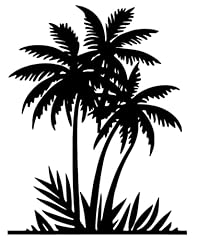 Benziso palm tree for sale  Delivered anywhere in USA 