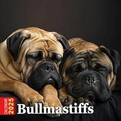 Bullmastiffs calendar 2025 gebraucht kaufen  Wird an jeden Ort in Deutschland