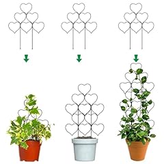 Indoor plant trellis for sale  Delivered anywhere in USA 