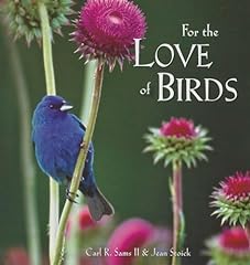 Love birds for sale  Delivered anywhere in USA 