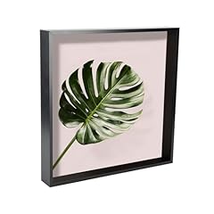 Nicola spring shadow for sale  Delivered anywhere in UK