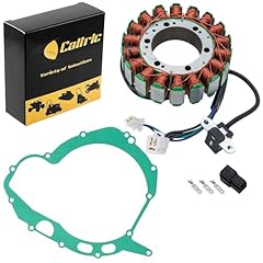 Caltric stator gasket for sale  Delivered anywhere in USA 