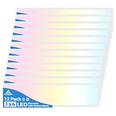 Aikvsxer 12pack 1x4 for sale  Delivered anywhere in USA 