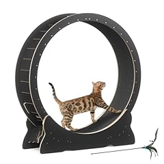 Mondeer cat wheel for sale  Delivered anywhere in UK